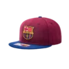 FANINK Team Snapback